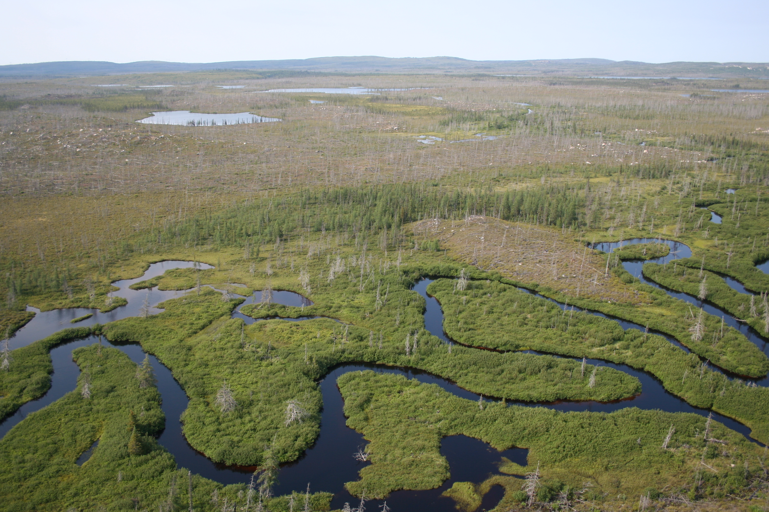 Caractérisation du volet terrestre du Projet Eastmain-1 : Recherche sur les émissions nettes de gaz à effet de serre de réservoirs
