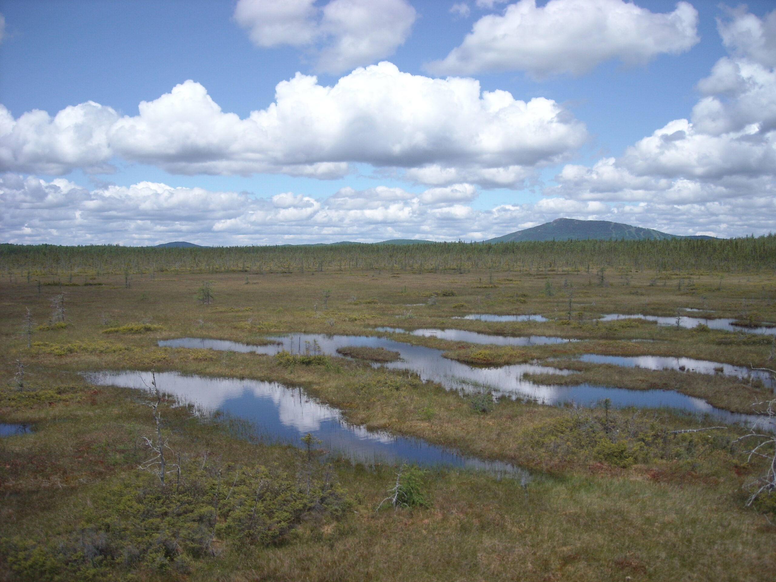 Reconstruction de l’historique des apports atmosphériques dans la vallée du Saint-Laurent et au Québec boréal