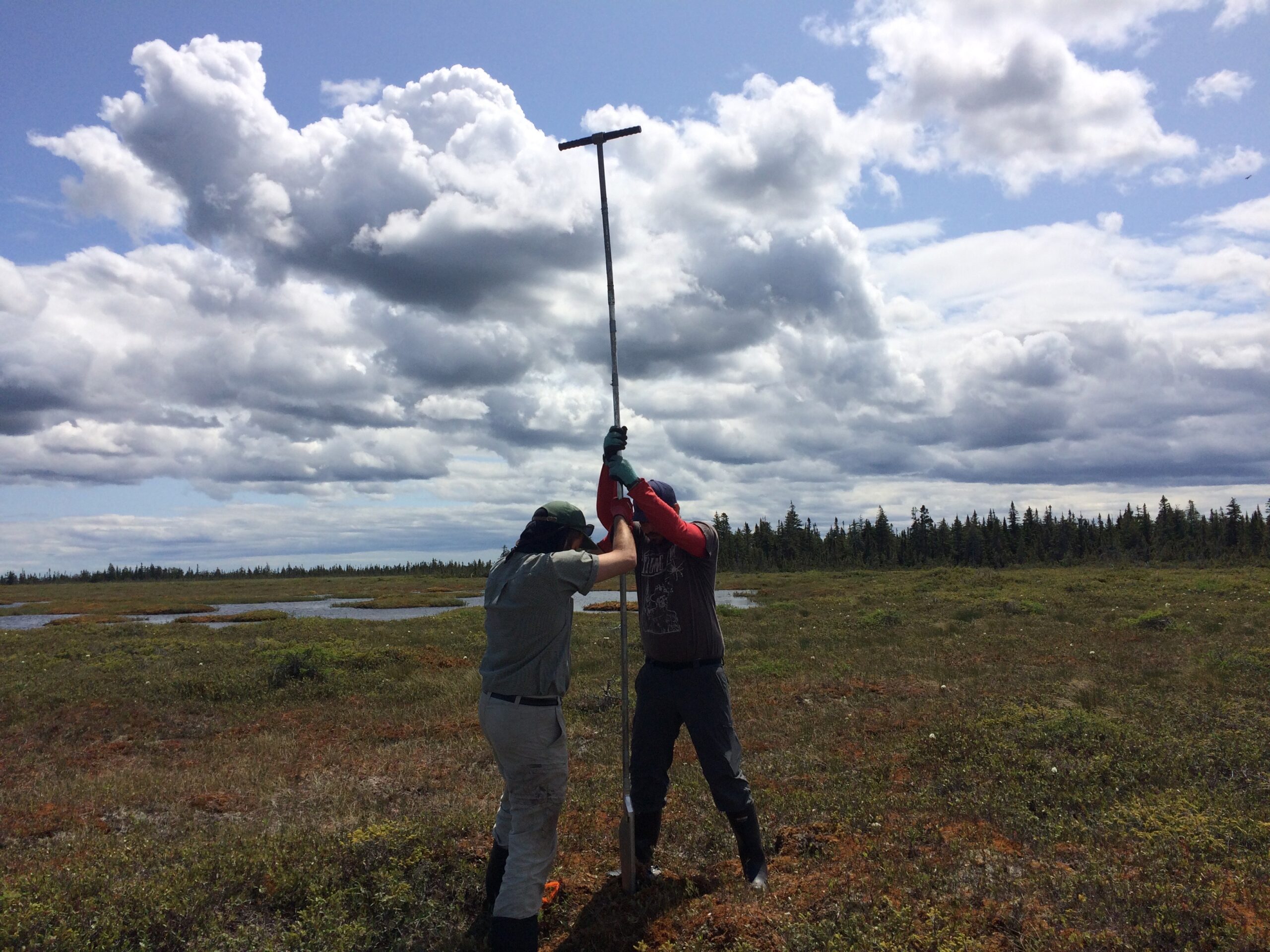 Influence du forçage climatique holocène sur les dynamiques écologiques, hydrologiques et du carbone de deux tourbières maritimes de l’île d’Anticosti