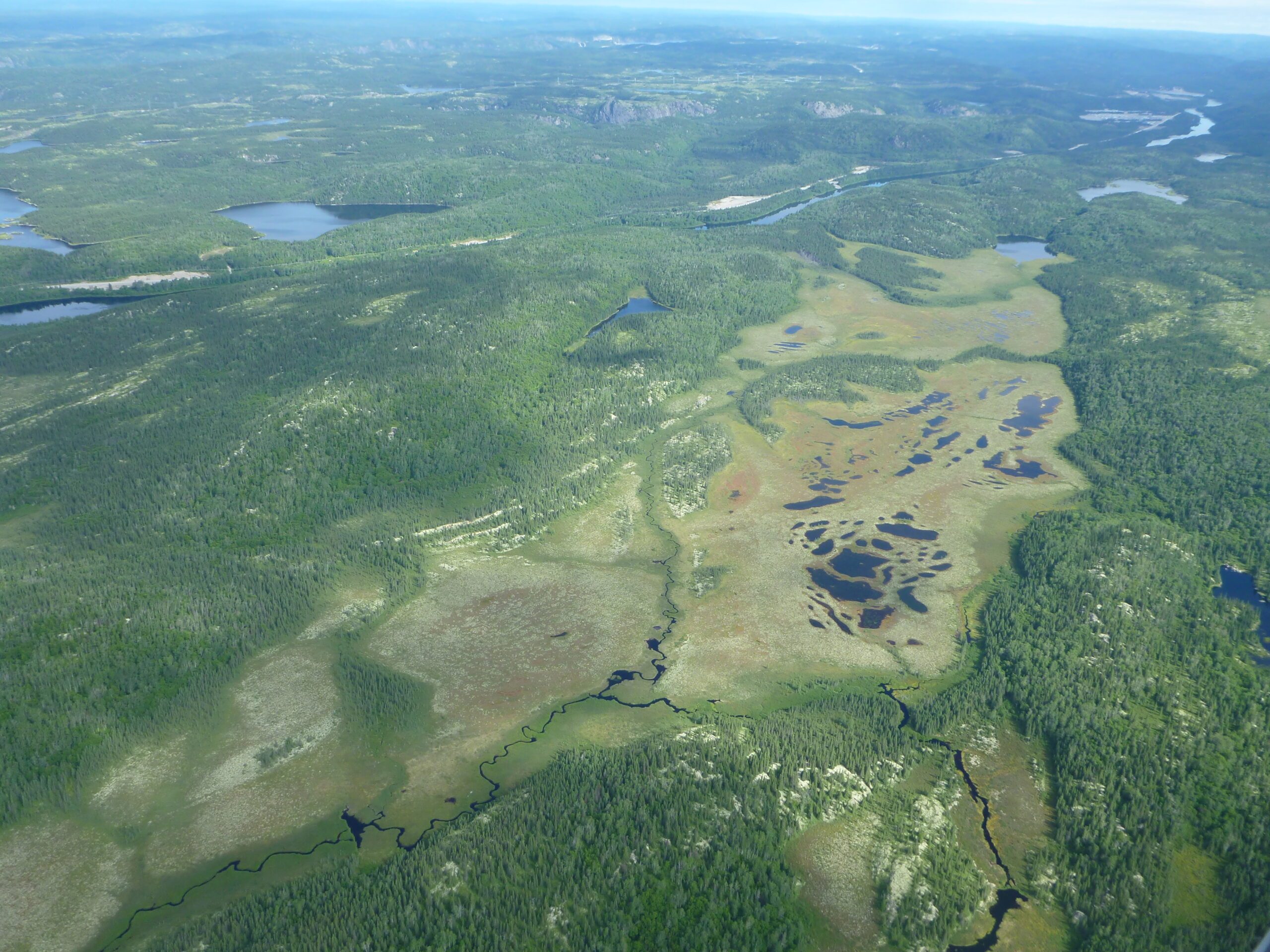 Bilan du carbone issu des tourbières comprises dans le bassin versant de la rivière Romaine et leur contribution au flux de GES issus des réservoirs hydro-électriques de la Romaine, Côte-Nord