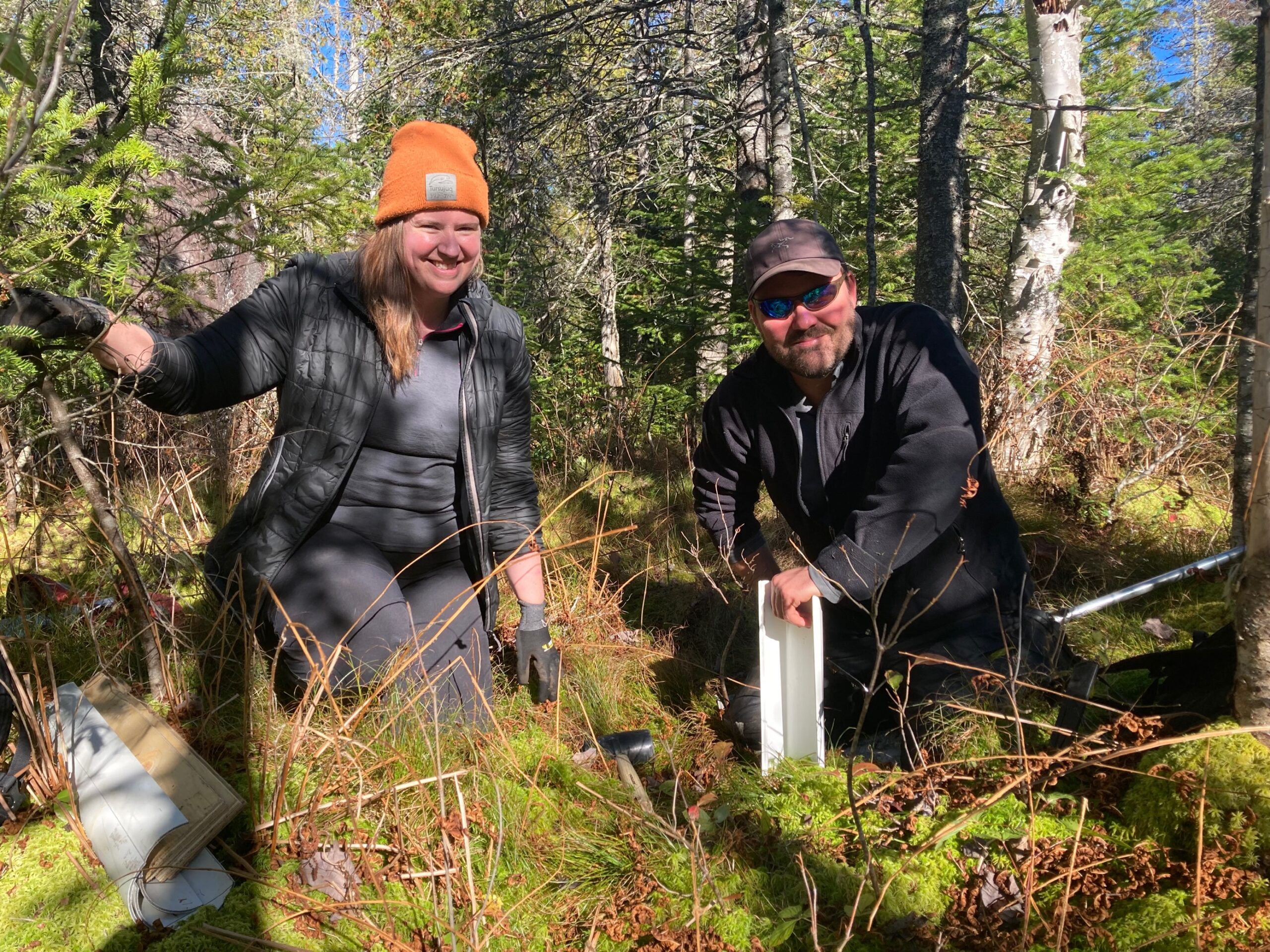 Développement d’une nouvelle méthode de terrain pour quantifier la masse de carbone entreposée dans les milieux humides du sud du Québec