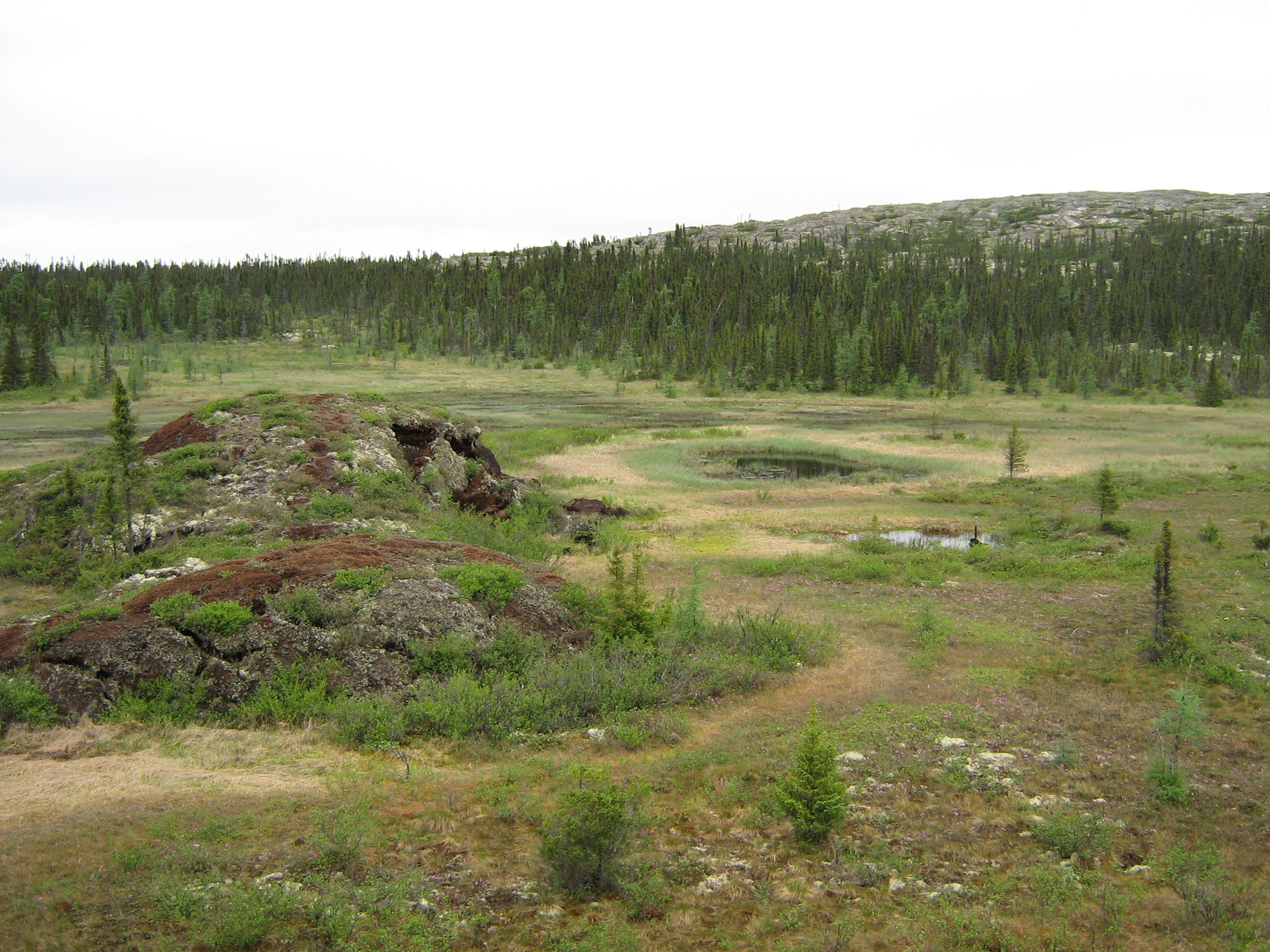 Reconstitution paléoenvironnementale d&rsquo;une tourbière à palses du secteur de Kuujjuarapik