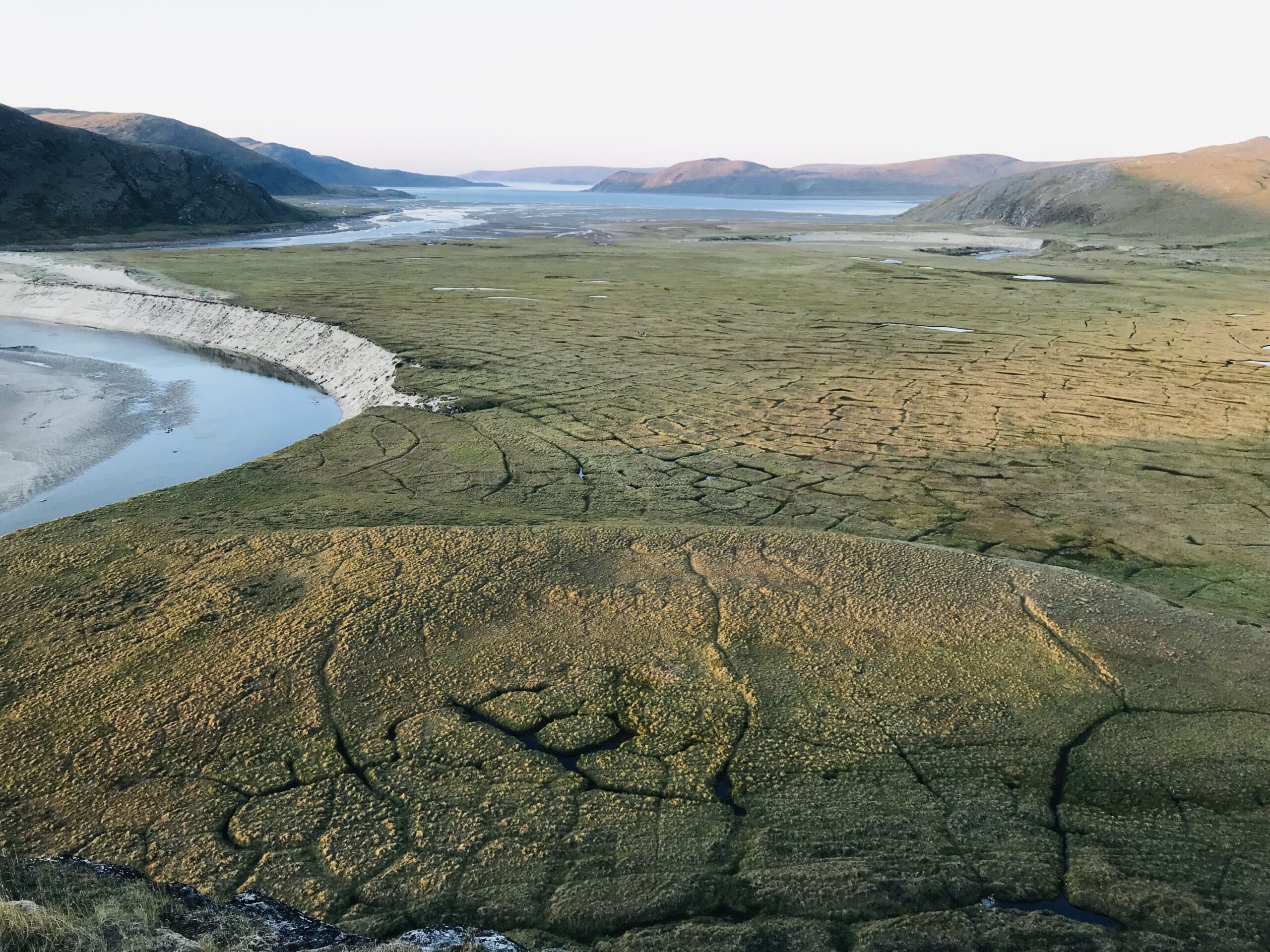 Les effets du réchauffement climatique récent sur la dynamique du carbone des tourbières à pergélisol