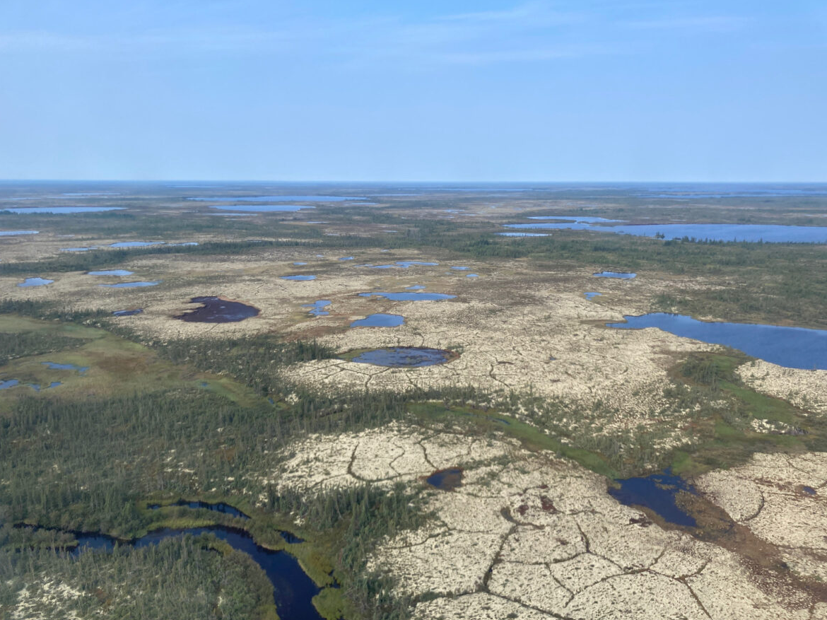 Quantification du carbone dans les tourbières à pergélisol dans la région de Churchill-Wapusk