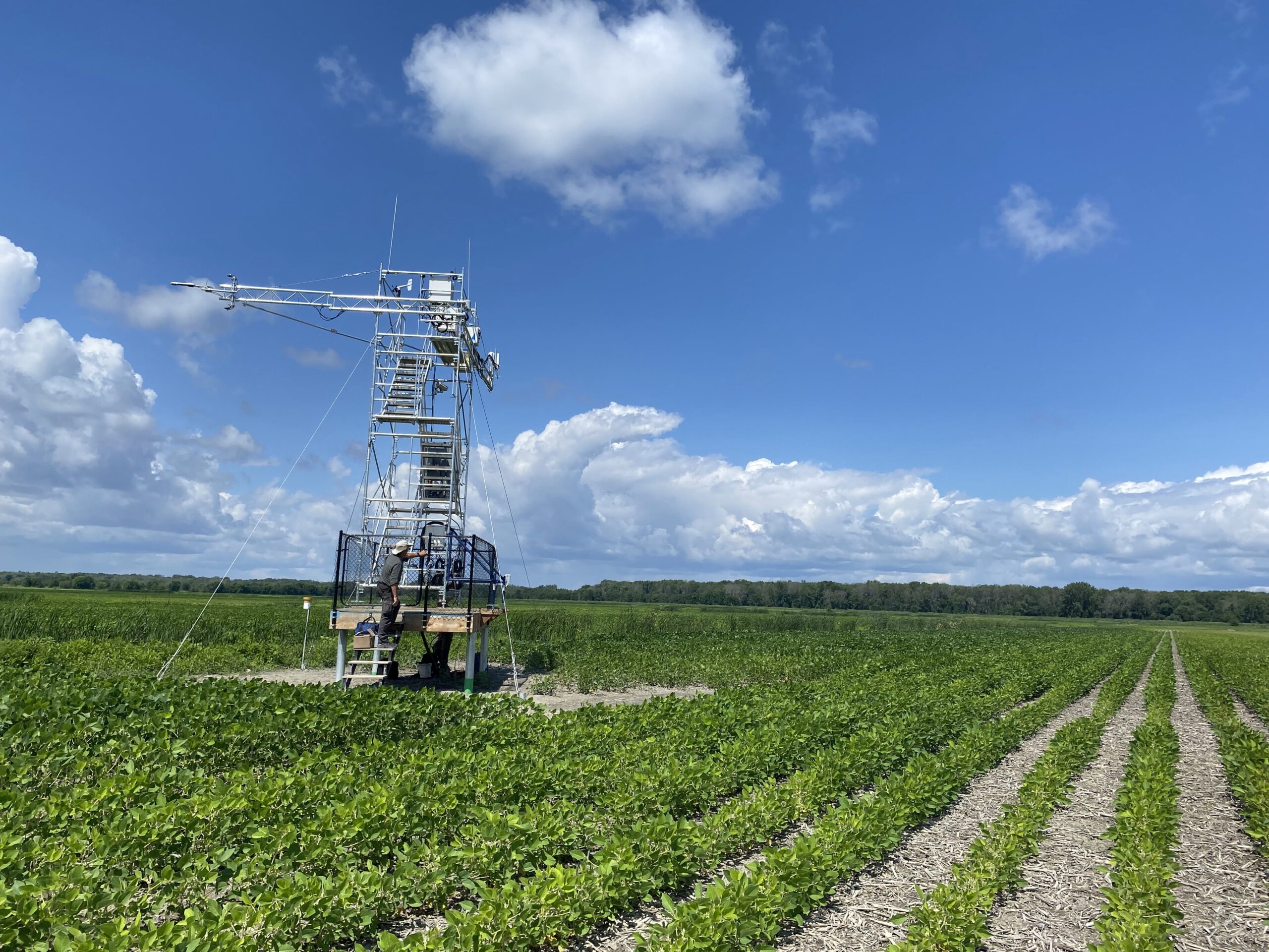 Étude des bilans de carbone dans les milieux humides naturels et perturbés du Québec méridional